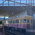 新金谷駅の写真_411510