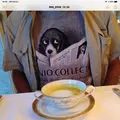 ザ・プリンス箱根芦ノ湖の写真_412456