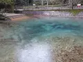 別府弁天池の写真_413276