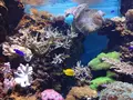 マリンワールド海の中道の写真_413293