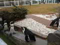 マリンワールド海の中道の写真_413295