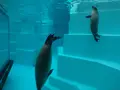 マリンワールド海の中道の写真_413296