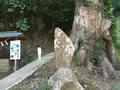 伊豆山神社の写真_413408