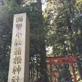 箱根神社の写真_413413