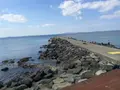 源頼朝上陸地の碑の写真_413430