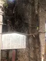 品川寺の写真_413607