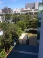 砂川砲台跡の写真_413627