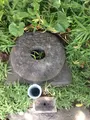 鈴ヶ森刑場跡の写真_413633