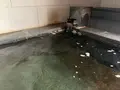 ROKUZA（ロクザ）の写真_413689