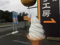 安富ゆず工房の写真_413764