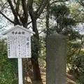 川崎宿の万年屋の写真_413874