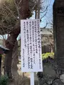 平間寺（川崎大師）の写真_413889