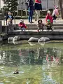平間寺（川崎大師）の写真_413891