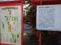 龍宮神社の写真_414082