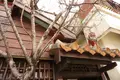 国際通りの写真_414111