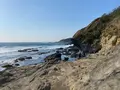 城ヶ島公園の写真_414157
