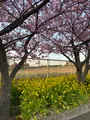小松ケ池公園の写真_414159