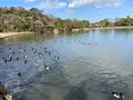 三溪園の写真_414166