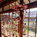 柳川藩主立花邸 御花の写真_414277
