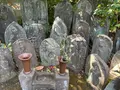 見光寺の写真_414359