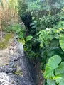 ヌドクビアブの写真_414433