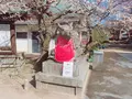 北野天満宮の写真_414477