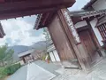 天龍寺の写真_414511