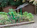 石清水八幡宮の写真_414866