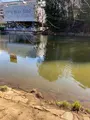 都筑中央公園の写真_414902