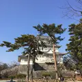小田原城の写真_415006