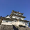 小田原城の写真_415007