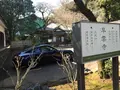 早雲寺の写真_415009