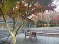 箱根リトリート　fore（フォーレ）の写真_415082