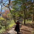 ポーラ美術館の写真_415097