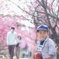 今帰仁城跡の写真_415229