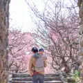 今帰仁城跡の写真_415231