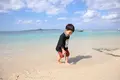 備瀬のフクギ並木の写真_415241