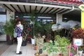 御菓子御殿 名護店 （ やんばる亜熱帯の森 ）の写真_415243