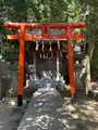 冨塚八幡宮の写真_415378