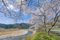 美山かやぶきの里の写真_415424