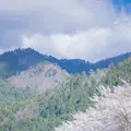 美山かやぶきの里の写真_415425