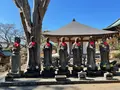 清浄光寺（遊行寺）の写真_415436