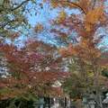 北野天満宮の写真_416252