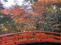 北野天満宮の写真_416253