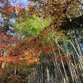 北野天満宮の写真_416255