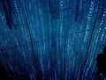 【閉業】森ビルデジタルアートミュージアム：エプソン チームラボボーダレス（MORI Building Digital Art Museum: EPSON teamLab Borderless）の写真_416298