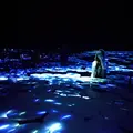 【閉業】森ビルデジタルアートミュージアム：エプソン チームラボボーダレス（MORI Building Digital Art Museum: EPSON teamLab Borderless）の写真_416304