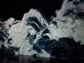 【閉業】森ビルデジタルアートミュージアム：エプソン チームラボボーダレス（MORI Building Digital Art Museum: EPSON teamLab Borderless）の写真_416305