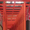 日枝神社の写真_416317