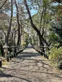 鶴嶺八幡宮の写真_416500